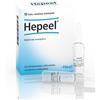 Guna Hepeel - Medicinale omeopatico per i disturbi epatici e digestivi, 10 fiale da 1,1 ml