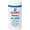 DUAL SANITALY SPA Gehwol Polvere per Piedi 100g