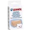DUAL SANITALY SPA Gehwol Cerotto Protettivo 4 Pezzi
