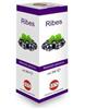 KOS Ribes Nigrum Macerato Glicerico 100 ml