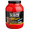 Enervit Sport Linea Gymline Muscle 100% Whey Protein Concentrate Cioccolato 700g