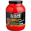 Enervit Sport Linea Gymline Muscle 100% Whey Protein C. Fragola 700g + Telo