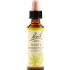 SCHWABE PHARMA ITALIA Srl Bach 35 White Chestnut 20ml