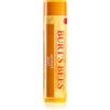 Burt's Bees Lip Balm Honey 4.25 g