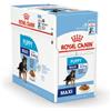 Royal Canin Maxi Puppy cibo umido per cane 4 scatole (40 x 140 g)