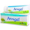BOIRON Srl ARNIGEL*7% GEL TUBO 120G
