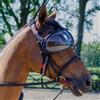 eQuick evysor trasparente protezione occhi per cavallo
