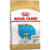 Royal Canin Bulldog Franch Puppy 10 kg Bulldog Francese Cucciolo