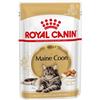 Royal Canin Breed Maine Coon Umido 85 gr Per Gatti