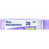 BOIRON Srl Rhus Toxicodendron 30CH Boiron Granuli 4g