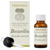 Erbamea Olio Essenziale Boswellia Incenso ( Boswellia Carterii B. )