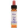 Healing Herbs Flowers Bach Center Fiori Di Bach Elm (olmo Inglese)