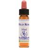Healing Herbs Flowers Bach Center Fiori Di Bach Wild Rose (rosa Selvatica)