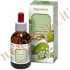 Erbamea Tintura Madre Uva Ursina 50 Ml Bio