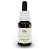 Green Remedies Australian Bush Flower Essences Isopogon Gocce 15 Ml