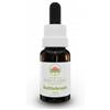Green Remedies Australian Bush Flower Essences Bottlebrush Gocce 15 Ml