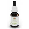Green Remedies Australian Bush Flower Essences Bush Fuchsia Gocce 15 Ml