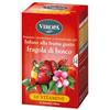 Viropa Fragola Di Bosco Infuso Alla Frutta In Filtri