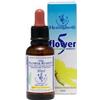 Healing Herbs Flowers Bach Center Healing Herbs Fiori Di Bach Five Flowers (rimedio Di Emergenza) 30 Ml