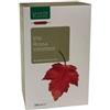 Natura Service Ligne De Plantes Vite Rossa Bio 20 Ampolle