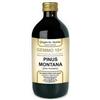 Giorgini Dr. Martino Servis Dr. Giorgini Gemmo 10+ Pino Montano 500 Ml Liquido Analcoolico