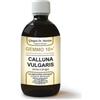 Giorgini Dr. Martino Servis Dr. Giorgini Gemmo 10+ Erica O Brugo 500 Ml Liquido Analcoolico