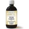 Giorgini Dr. Martino Servis Dr. Giorgini Gemmo 10+ Fico 500 Ml Liquido Analcoolico