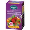 Viropa Lampone Di Bosco Infuso Alla Frutta In Filtri