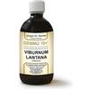 Giorgini Dr. Martino Servis Dr. Giorgini Gemmo 10+ Viburno 500 Ml Liquido Analcoolico