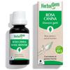 Pranarom Herbalgem Gemmoderivato Di Rosa Canina 30 Ml