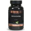 Promopharma Botanical Mix Olio Di Enotera 60 Perle