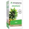 ARKOFARM Srl Ananas 130 Capsule Arkocapsule