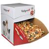 VADIGRAN VDG BISCOTTI MULTI MIX 10KG