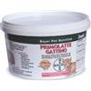 Bayer Primolatte Gattino 200 g