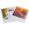 Fotoregali Polaroid Magnetiche Flessibili