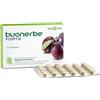 Bios Line Linea Benessere dell'Intestino Buonerbe Forte 30 Tavolette