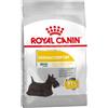 Royal Canin Mini Health Nutrition Dermacomfort 1 Kg Per Cani