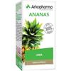 ARKOFARM Srl Arkopharma Ananas 130 Capsule - Integratore Alimentare con Arkocapsule Ananas