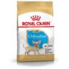 Royal Canin Breed Royal Canin Puppy Chihuahua cibo per cane 1,5 kg