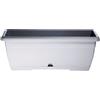 Erba Cassetta Oasi cm 25 bianco con sottocassetta