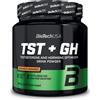 BIOTECH USA TST-GH 300 GR Arancio