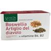 Natura Service Ligne De Plantes Boswellia Artiglio Del Diavolo + B6 B2 B9 60 Capsule