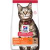 Hill's Science Plan Feline Adult Optimal Care con Agnello 300 gr secco
