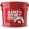 Scitec Nutrition 100% Whey Protein Professional 5 kg