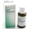 Guna Sabal Homaccord Heel gocce omeopatiche 30 ml