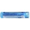 Boiron Sepia Officinalis 9CH granuli medicinale omeopatico