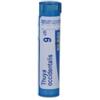 Boiron Thuya Occidentalis 9CH granuli medicinale omeopatico 4g
