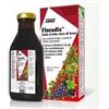 SALUS HAUS GMBH & CO KG Floradix 500 ml - Integratore Ricostituente con Ferro e Vitamine