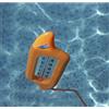Kerlis e Swim Ways Termometro galleggiante per piscina