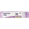 BOIRON Srl Aesculus Hippocastanum 30Ch Granuli Multidose Boiron